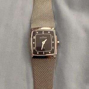 Skagen Women’s Black Dial Stainless Silver Mesh Watch